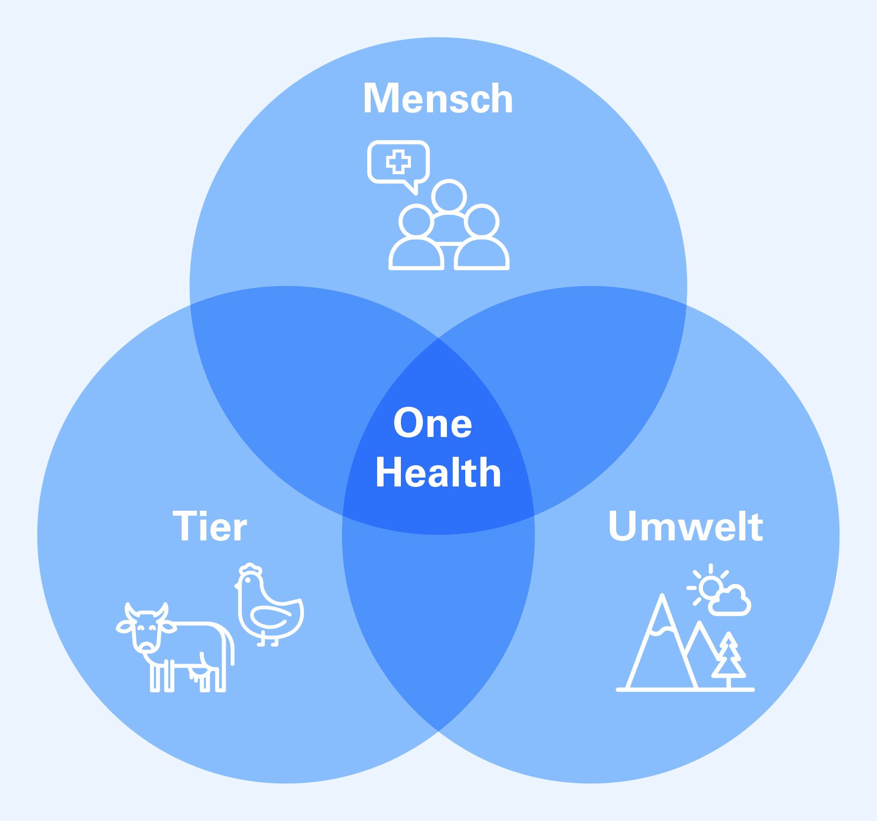 Drei sich überlappende Kreise mit Symbolen und den Bezeichnungen Mensch, Tier und Umwelt sind dargestellt. In der Mitte, wo sich alle Kreise überschneiden, steht der Begriff One Health.