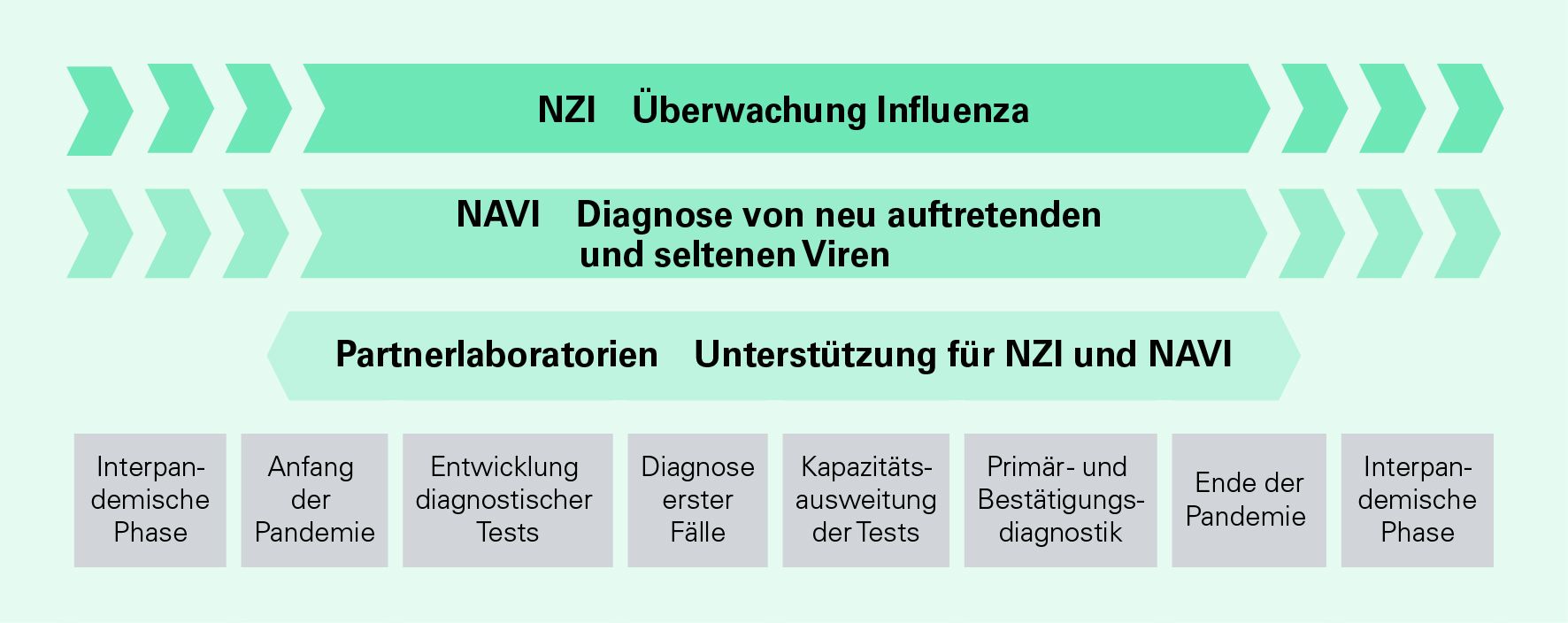 Oben stehen die Referenzlabore mit ihren jeweiligen Verantwortungsbereichen: Erstens das NZI, das für die Influenzaüberwachung zuständig ist, darunter das NAVI, das für die Diagnose neu auftretender und seltener Viren zuständig ist, und schliesslich die Partnerlabore, die das NZI und das NAVI unterstützen. Die Phasen und Aufgaben während einer Pandemie sind unten von links nach rechts aufgelistet: Interpandemische Phase, Anfang der Pandemie, Entwicklung diagnostischer Tests, Diagnose erster Fälle, Kapazitätsausweitung der Tests, Primär- und Bestätigungsdiagnostik, Ende der Pandemie und Interpandemische Phase. 