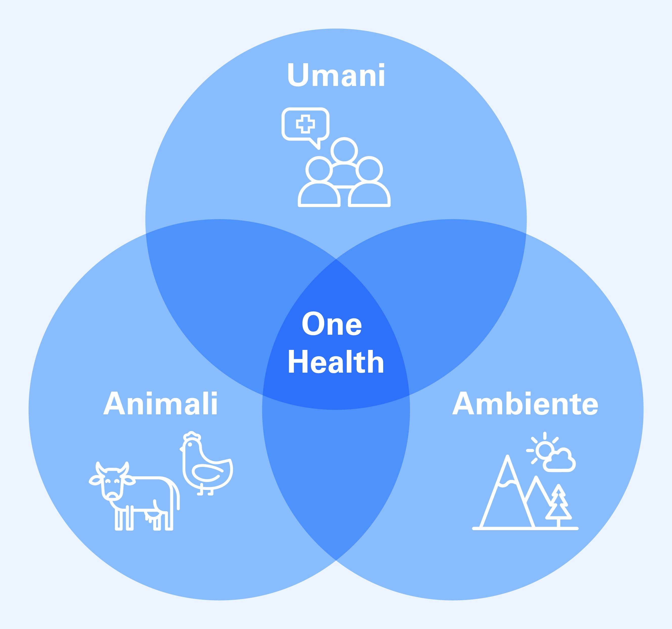 Ci sono tre cerchi che si sovrappongono con dei simboli e le parole umani, animali e ambiente. Al centro, dove tutti i cerchi si incontrano, c'è la scritta One Health.