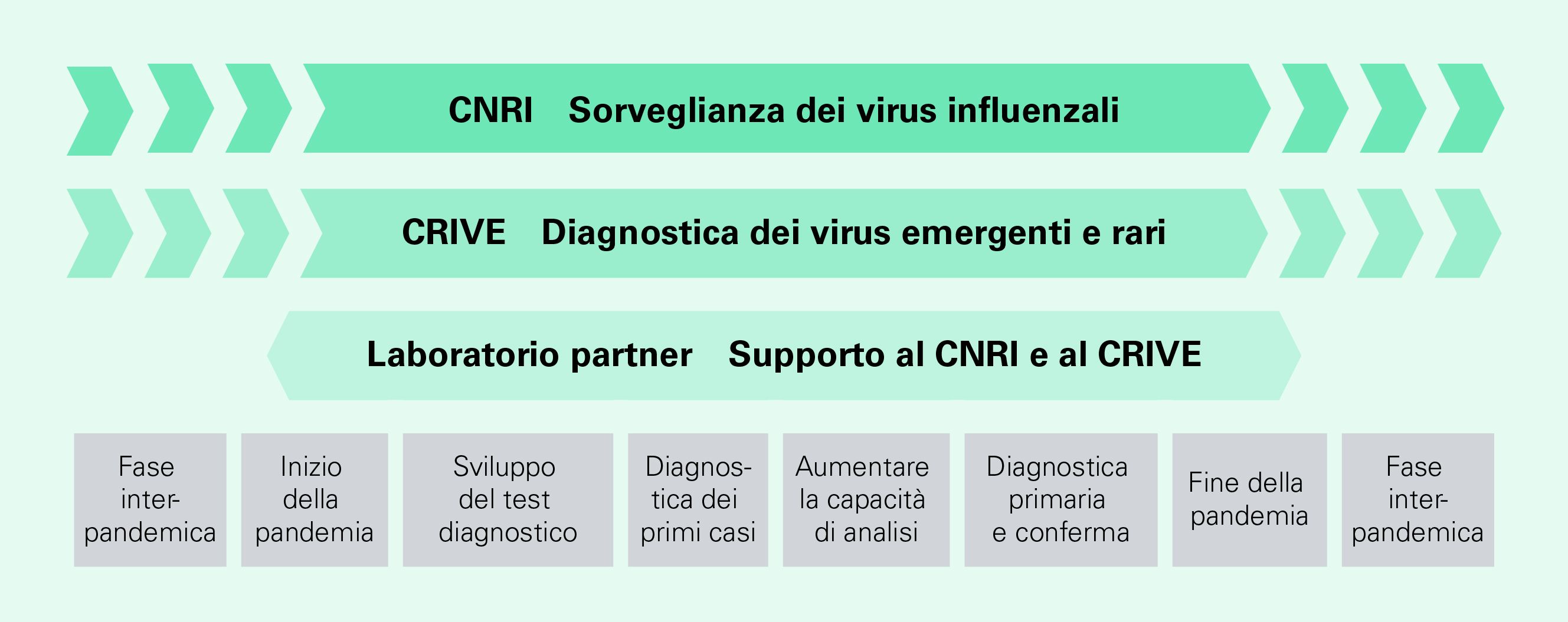 In alto ci sono i laboratori di riferimento con le loro aree di responsabilità: prima c'è l'CNRI, che si occupa della sorveglianza dei virus influenzali, poi il CRIVE, che diagnostica dei virus emergenti e rari, e infine i laboratorio partner che supportano l'CNRI e il CRIVE. Le fasi e i compiti durante una pandemia sono elencati in basso da sinistra a destra: fase interpandemica, inizio della pandemia, sviluppo del test diagnostico, diagnostica dei primi casi, aumentare la capacità di analisi, diagnostica primaria e conferma, fine della pandemia e fase interpandemica.